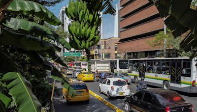 Pico y placa Medellín y Valle de Aburrá: ¿Desde cuándo me sancionarán por incumplir la norma?