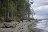 Rathtrevor Beach Provincial Park