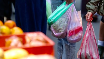 尚未推動塑膠袋付費 環境部市場、夜市減塑政策6月曝光