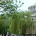 Saint Nedelya Cathedral, Sofia