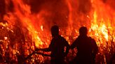 Firefighters battle peatland fires on Indonesia's Sumatra island