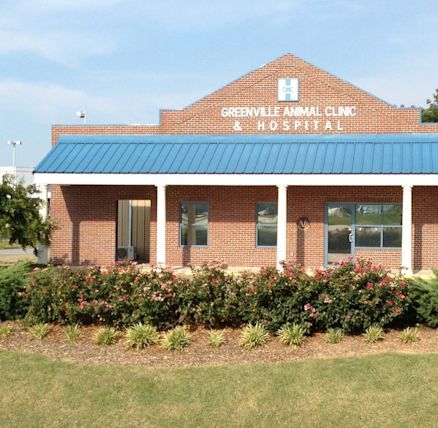 greenville-animal-clinic-hospital-greenville- - Yahoo Local Search Results