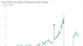 Enel Chile SA's Dividend Analysis