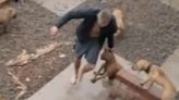 Moment dog owner, 21, brutally beats bull terrier before yanking him