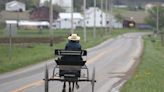 Yes, there are cases of Amish children with autism, cancer and diabetes | Fact check