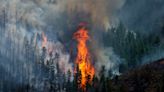 Colorado wildfire claims life as California blaze grows | World News - The Indian Express