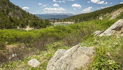 Hike of the Week: St Mary’s Glacier is a favorite trail for dogs and hikers