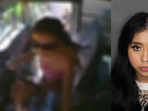 GRAPHIC: Woman accused of attacking school bus driver who was dropping off kids