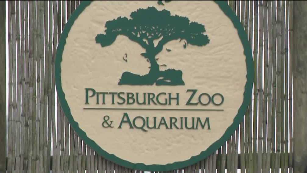 Pittsburgh Zoo & Aquarium reopens, for the most part, as tornado cleanup continues