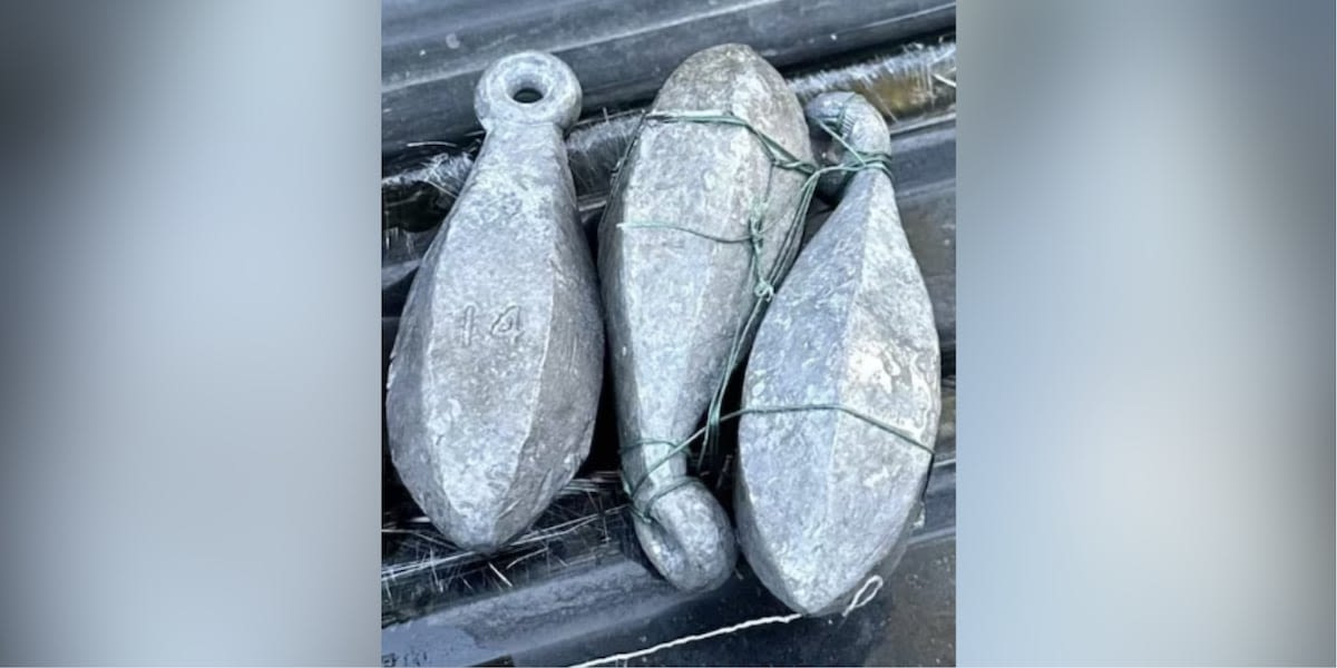 Fisherman accused of using lead sinkers to increase weight of fish during bass tournament