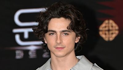 Timothée Chalamet Looks Unrecognizable With Hair and Mustache Transformation on Marty Supreme Set - E! Online