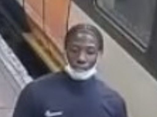 Police appeal for help tracing man over murder of teenager in north London