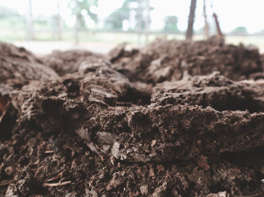 Florida man accused of stealing $3K worth of dirt