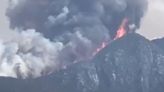 Fuerte incendio consume bosques de Logueche, en la Sierra Sur de Oaxaca; movilizan brigadas de Conafor