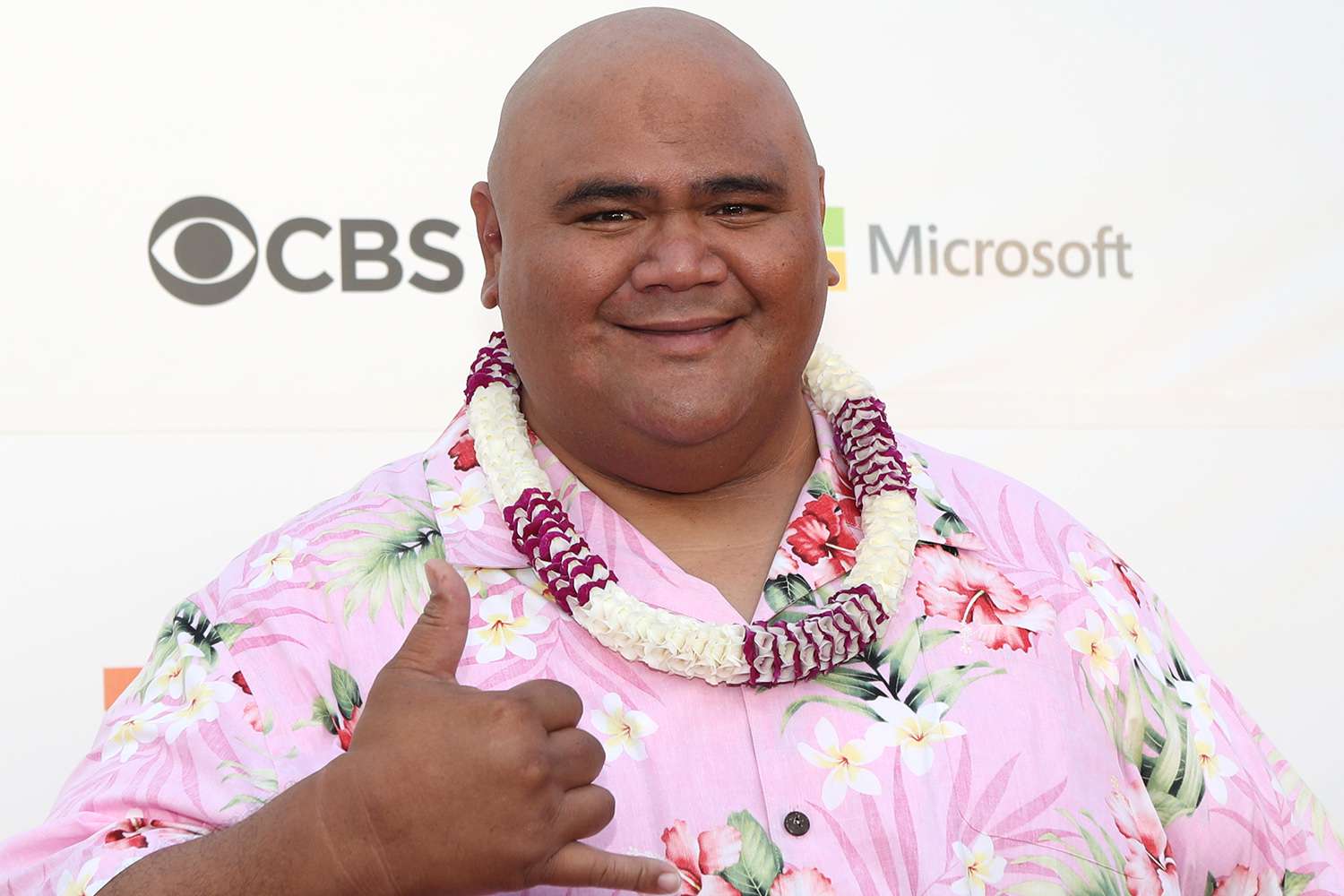 'Hawaii Five-0' Actor Taylor Wily Dead at 56: One of the 'Gentlest Souls'