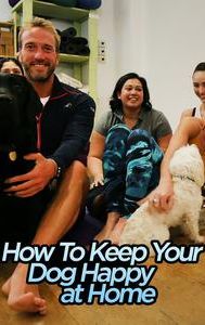 How To Keep Your Dog Happy at Home