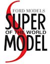 Search for a Supermodel