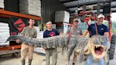 An 800-pound gator was caught in Mississippi — and the record-breaking monster's meat was donated to soup kitchens