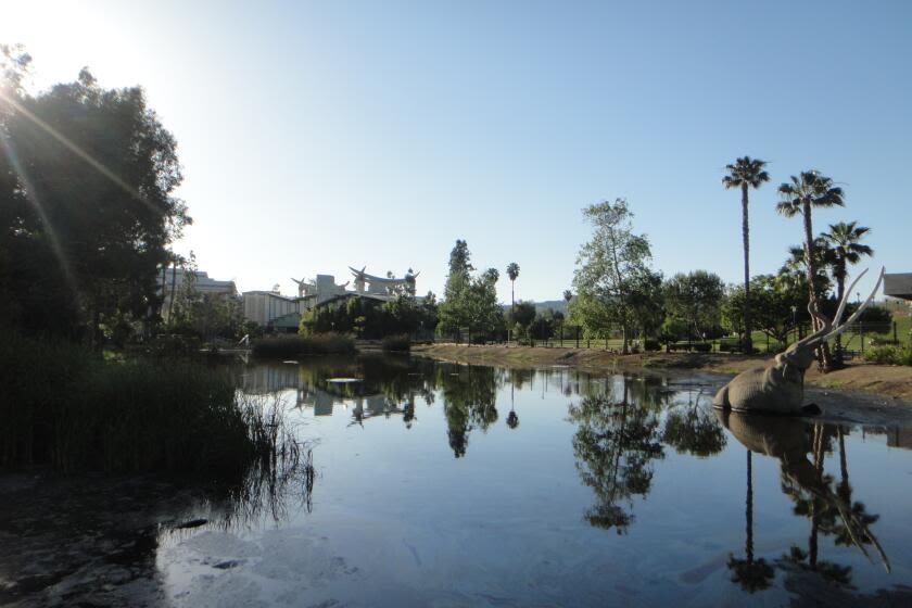 8 teens on La Brea Tar Pits trip hospitalized after ingesting 'cannabis edibles,' Fire Dept. says