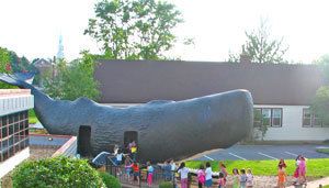 Conny the Whale returning to West Hartford next week — in part