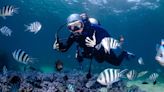 復育珊瑚 重拾最美的島嶼生態！ 澎湖縣打造珊瑚海洋花園 實踐永續 SDGs｜天下雜誌