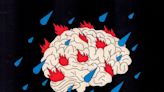 How inflammation in the body may explain depression in the brain