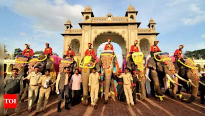 The Elephants of Mysore Dasara: Guardians of a royal legacy - Times of India