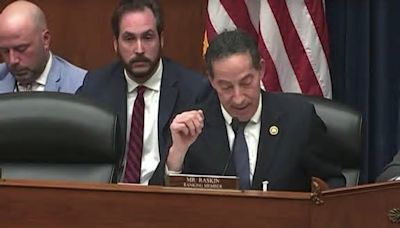 Jamie Raskin shows image of GOP witness meeting with Mark Meadows in a ski mask at Oversight hearing on Biden family.