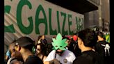 Possession Of Marijuana Not A Crime, Says Top Brazil Court