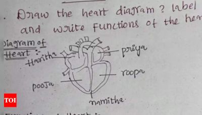 Student's heart diagram in exam is getting viral: Here’s what it holds! | - Times of India