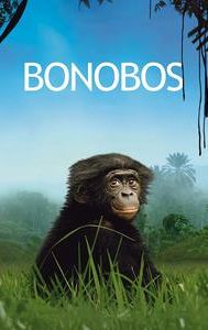 Bonobos