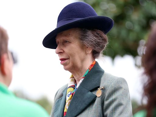Princess Anne breaks cover in first public engagement following injury from horse