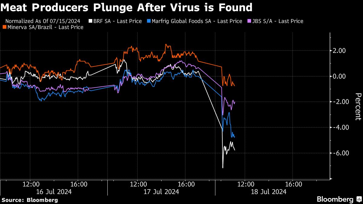 Brazil Chicken Suppliers Slump as Newcastle Virus Is Found