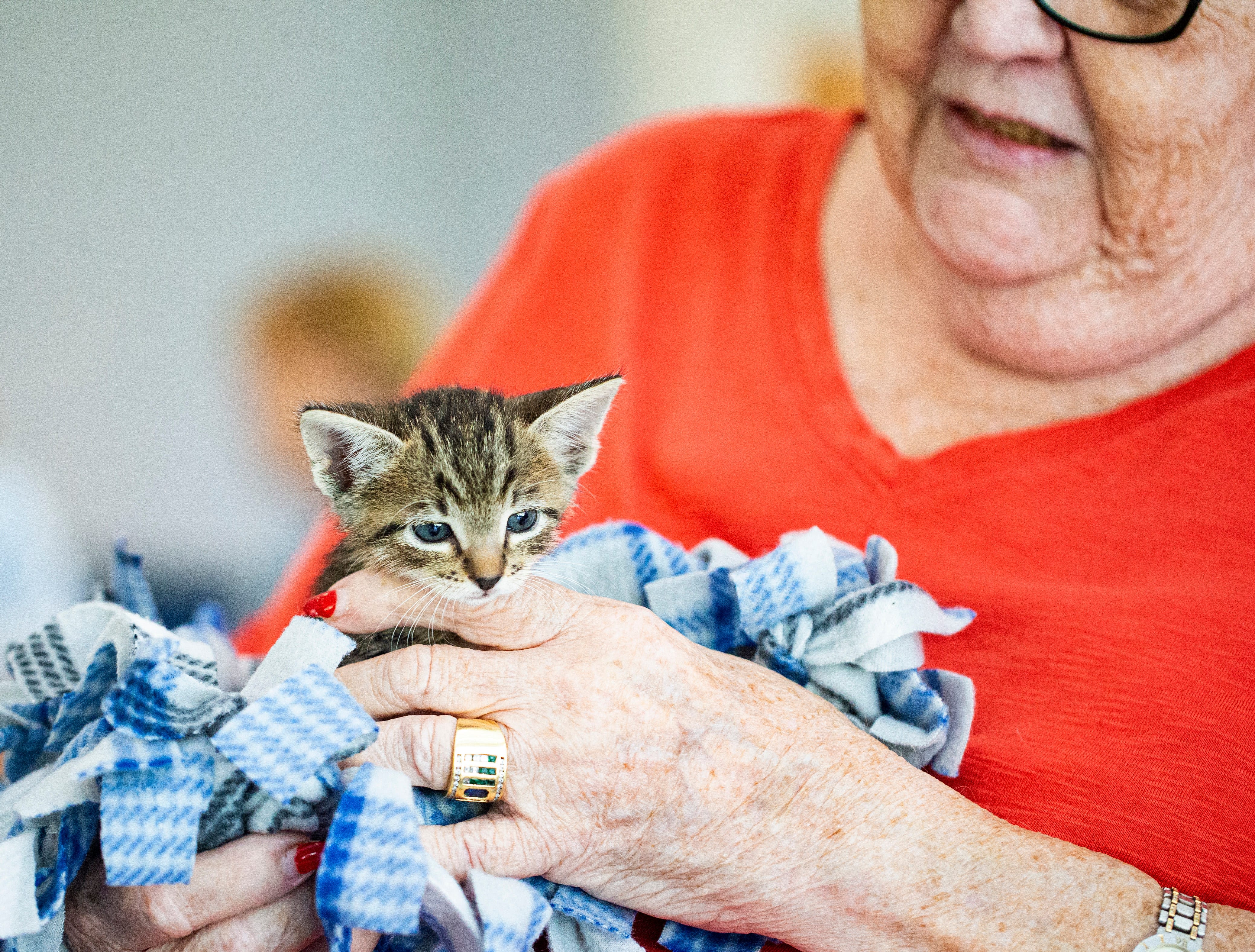 Senior Center gives older adults power of connection