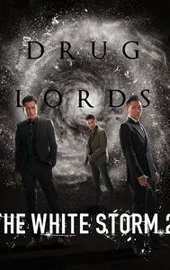 The White Storm 2: Drug Lords