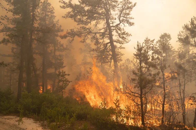 Hundreds of acres burn in New Jersey Pinelands at peak wildfire season, closing key road and trails