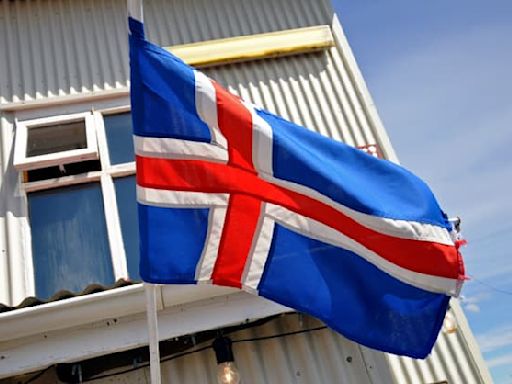 "Qu'est-ce que c'est que ce bazar?" : ces Islandais ont été candidats par erreur à l'élection présidentielle