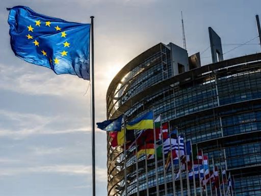 EU in Straßburg Eine weiße Taube und einige Tränen zum Abschied