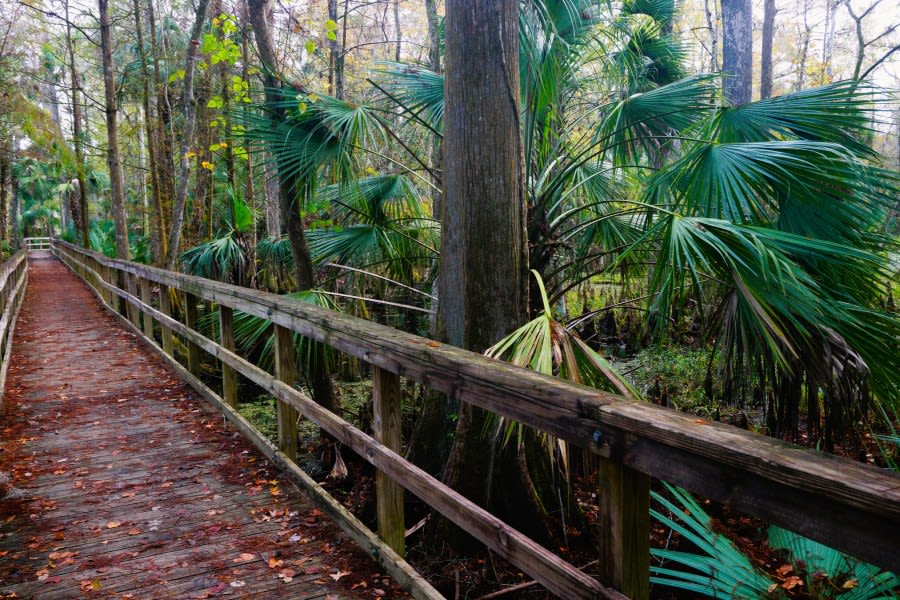 Admission fees waived for Florida state parks for Memorial Day Weekend, DeSantis says