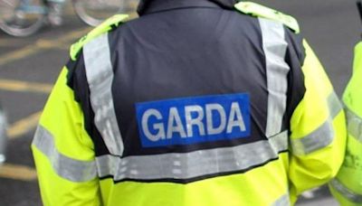 Man armed with machete tased in Limerick town