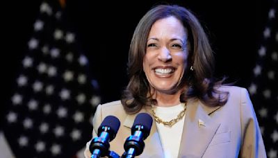 Kamala Harris Has A Genius Hack For Eating McDonald's In The Car, Mess-Free