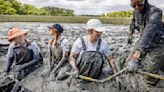 Residents of historic Black neighborhood hope restoration effort can save their salt marsh