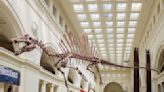 Field Museum debuts Spinosaurus exhibit featuring largest predatory dinosaur