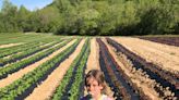 What do Dominion, MountainTrue, West Asheville farmer have in common? Saving Hominy Creek