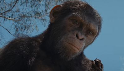 How To Watch Kingdom Of The Planet Of The Apes At Home - SlashFilm