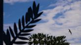 Cannes abre sua 77ª edição apostando no prestígio de nomes como Coppola, Cronenberg e Yorgos Lanthimos