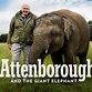 Watch Attenborough and the Giant Elephant, Season 1 | Prime Video