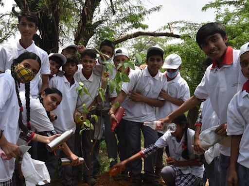 Project One Tree: All You Need to Know About Van Mahotsav - News18