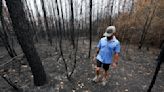 In a state used to hurricanes and flooding, Louisiana is battling an unprecedented wildfire season