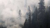 As forests go up in smoke, so will California's climate plan